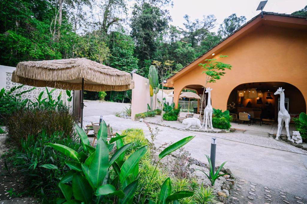 Lilla Rainforest Retreat - Image 2