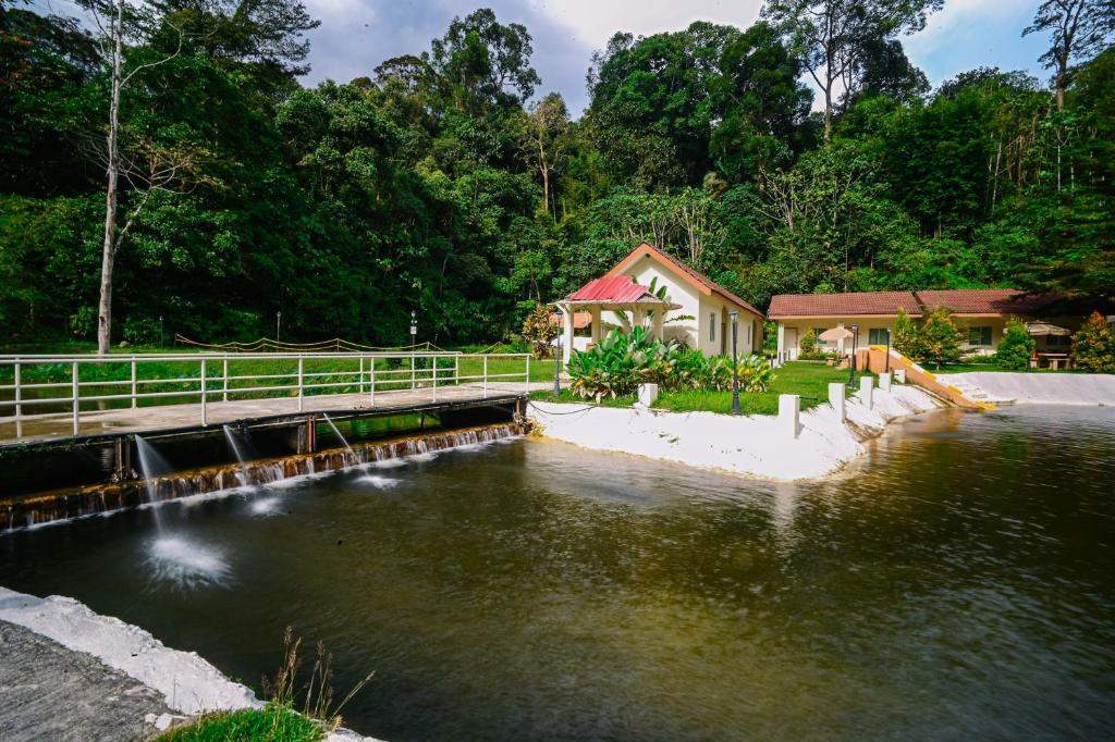 Lilla Rainforest Retreat - Image 3