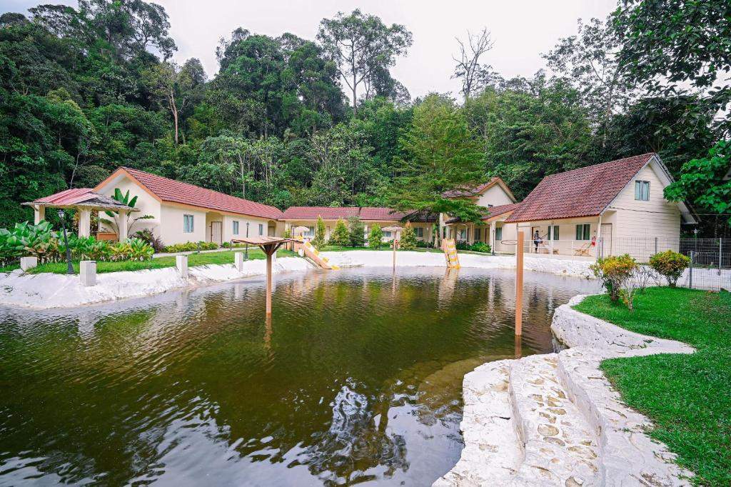 Lilla Rainforest Retreat - Image 6