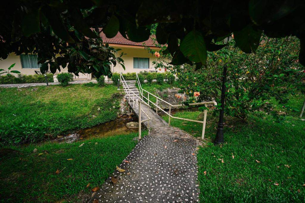 Lilla Rainforest Retreat - Image 7
