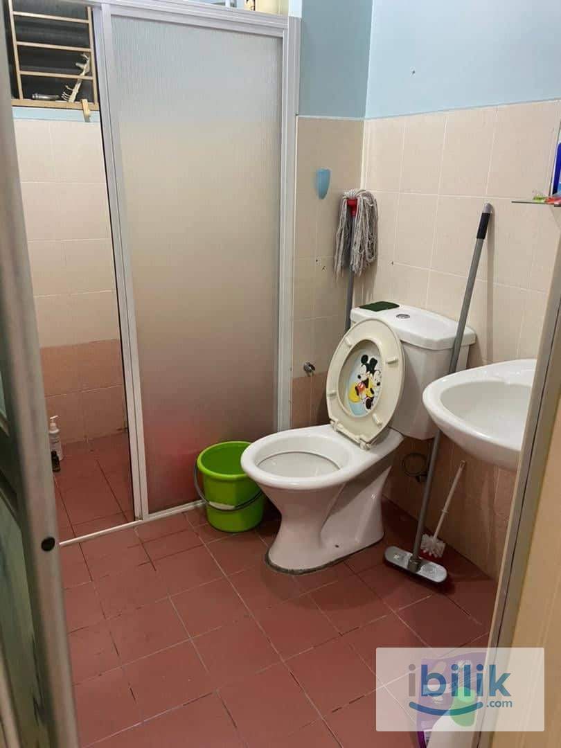 Small Room to Let - Image 2
