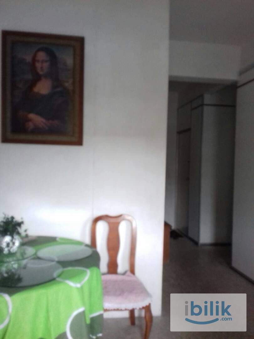 Single room to let - Image 4