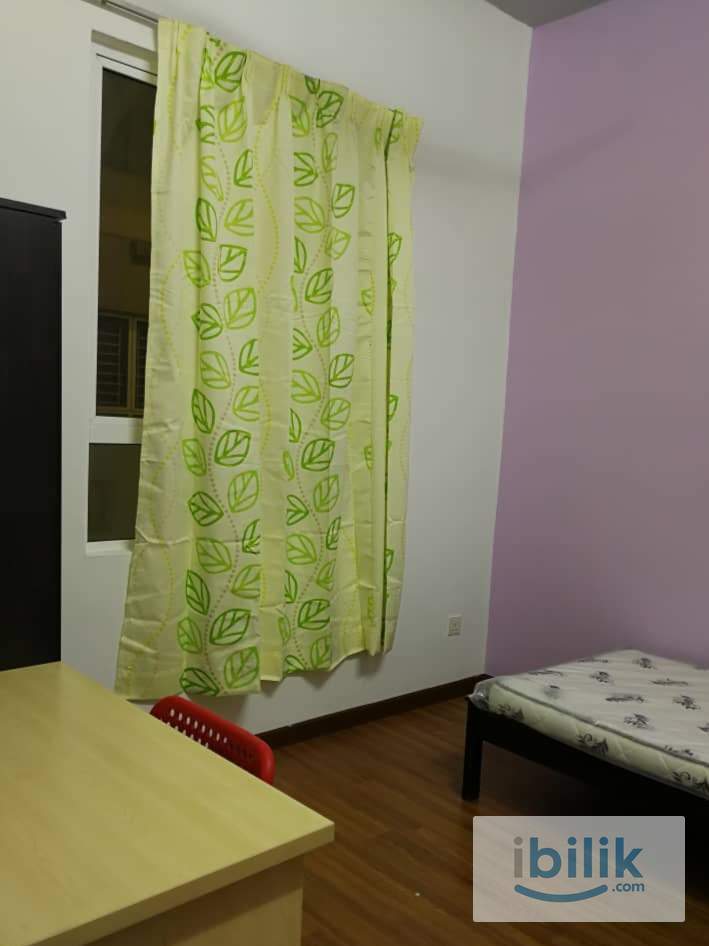 Female- Friendly Living Room for Rent ( Safe, Clean Comfortable)  - Image 6
