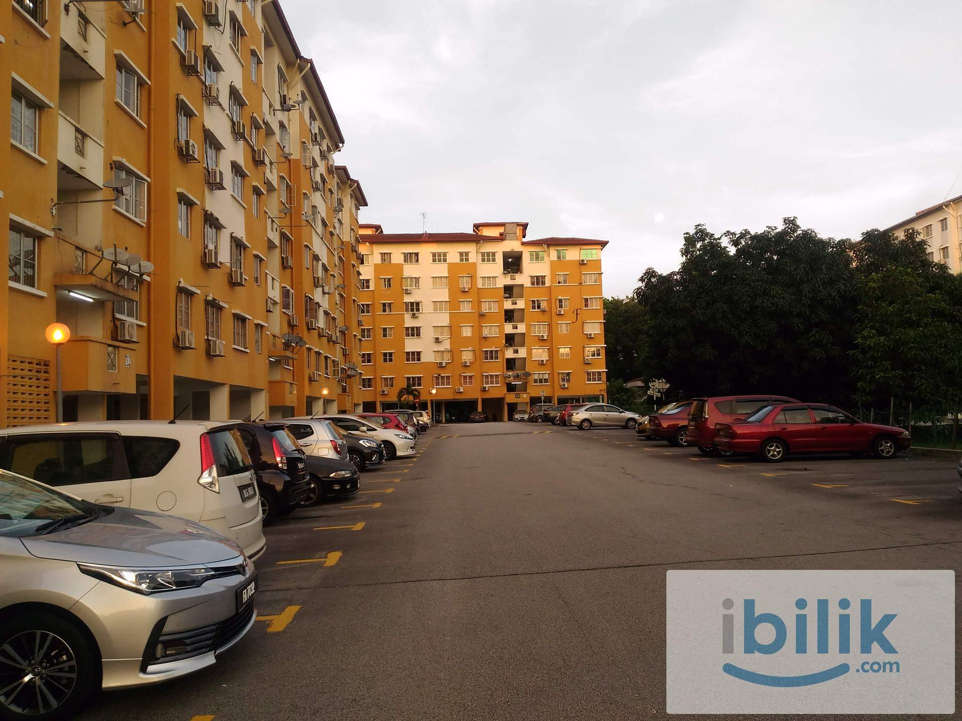 Private Male Room+WiFi @Tainia Apartment, Kota Damansara, near IOI Damansara, Bandar Utama, IKEA, The Curve, Giza - Image 7
