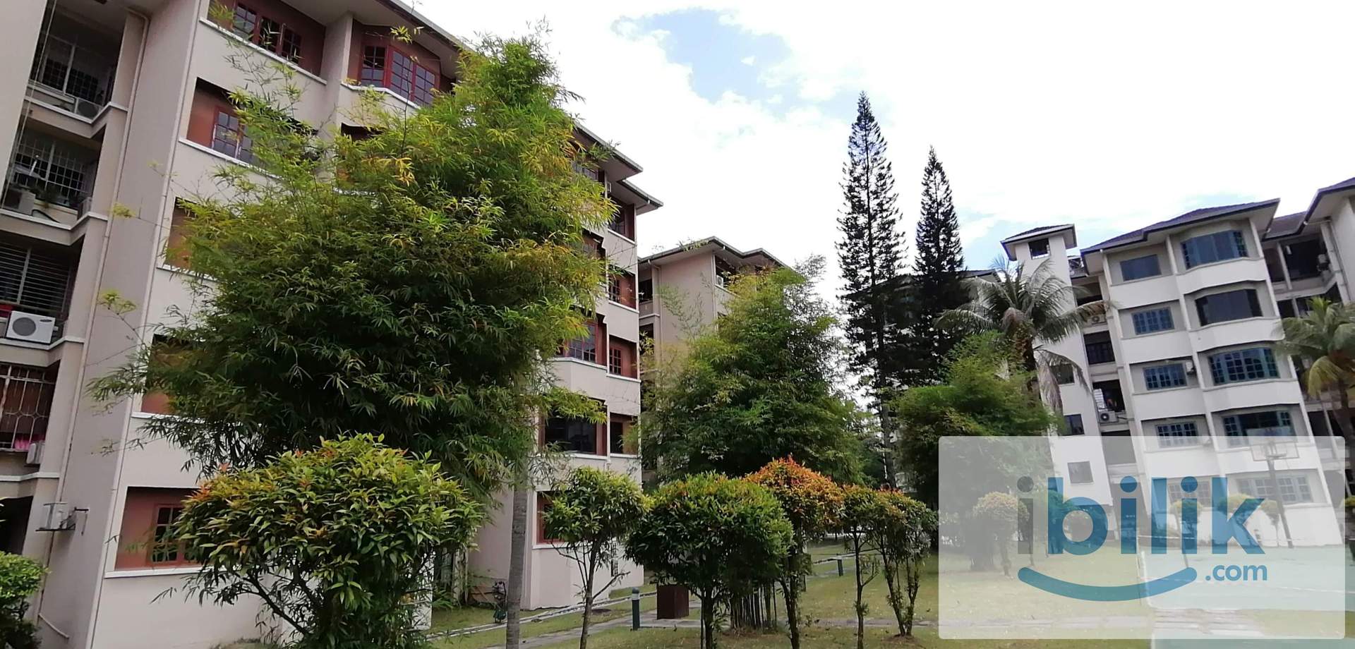 Single room at Sunway Court for Male - Image 3