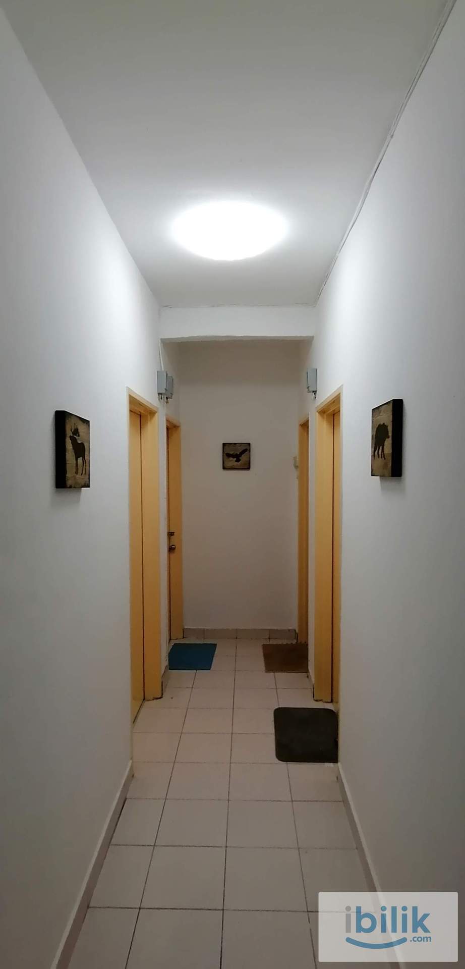 Single Room For Male at Mutiara Perdana  - Image 3