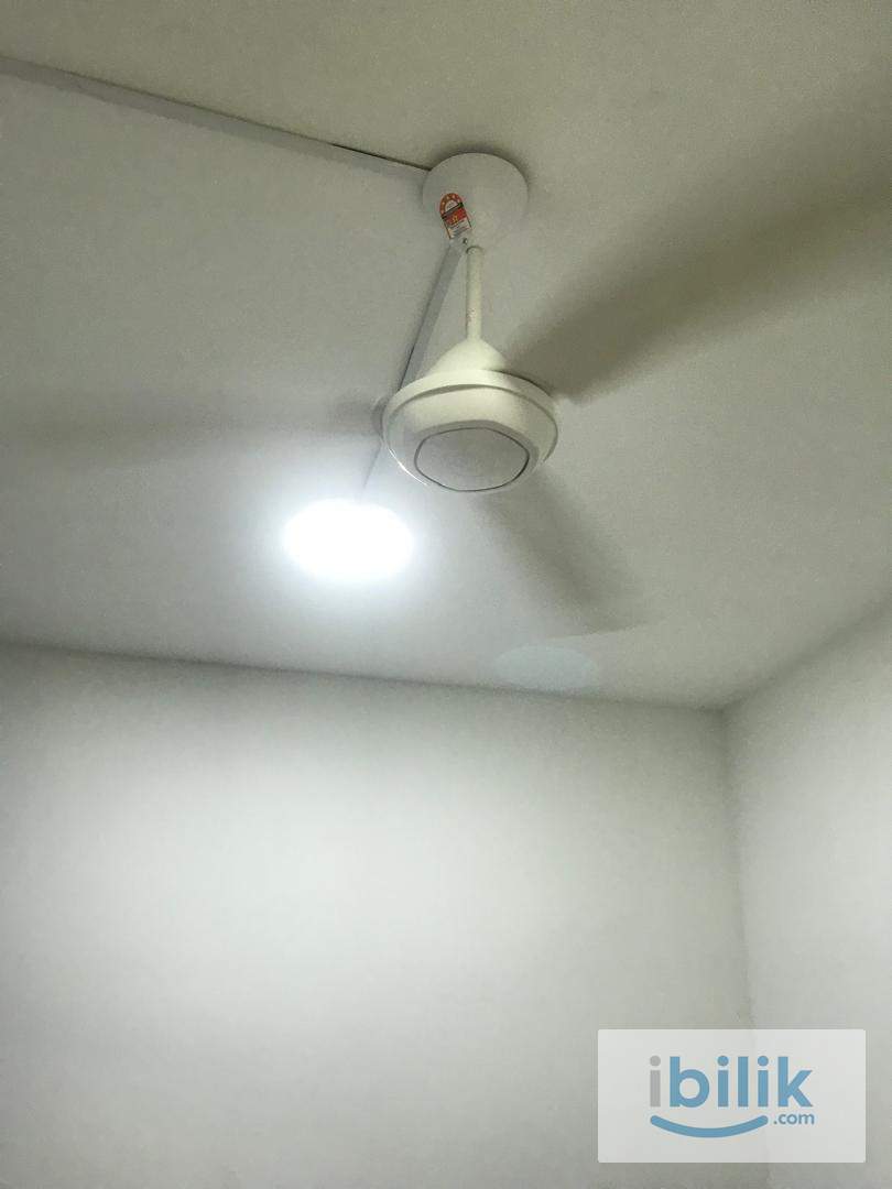 Small Room Available - Image 5