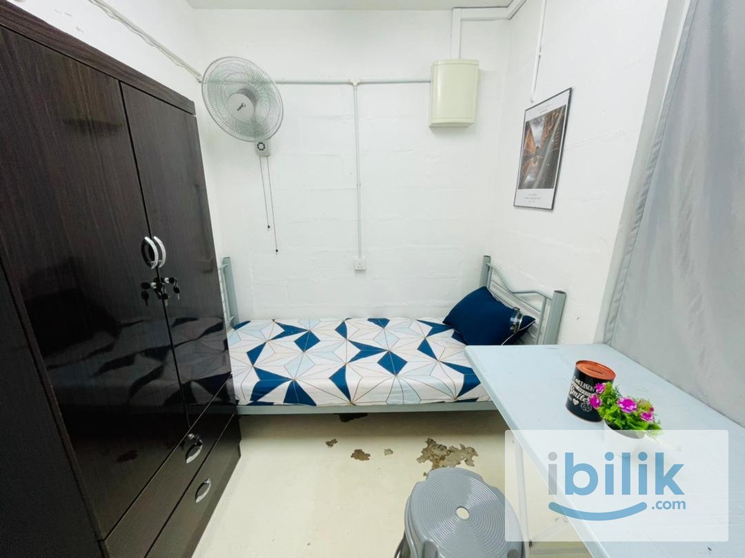 FEMALE Room For Rent At Georgetown - Image 1