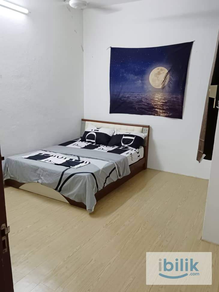 PULAU TIKUS NEAR MORNING PASAR MEDDLE ROOM FOR RENT. - Image 1