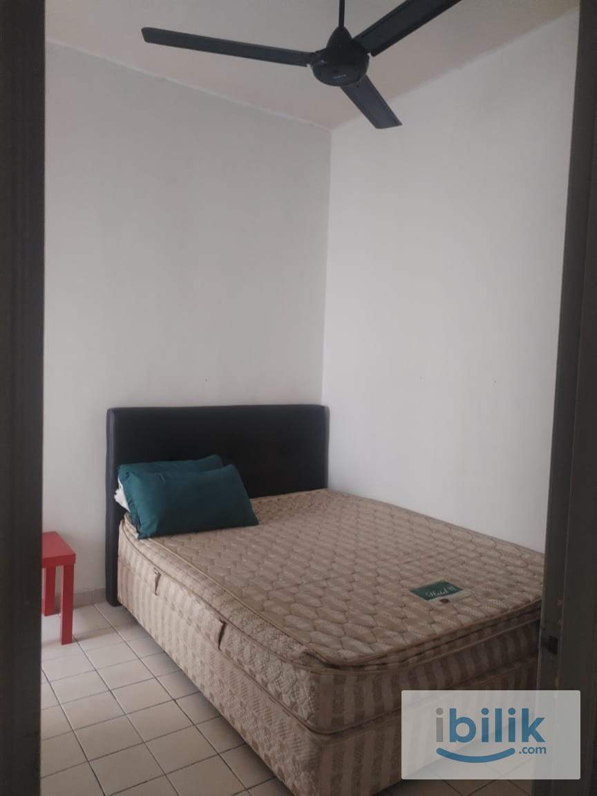 Rm 450 Move in Now Individual Room + Attached Toilet Inclusive Utility - Image 2