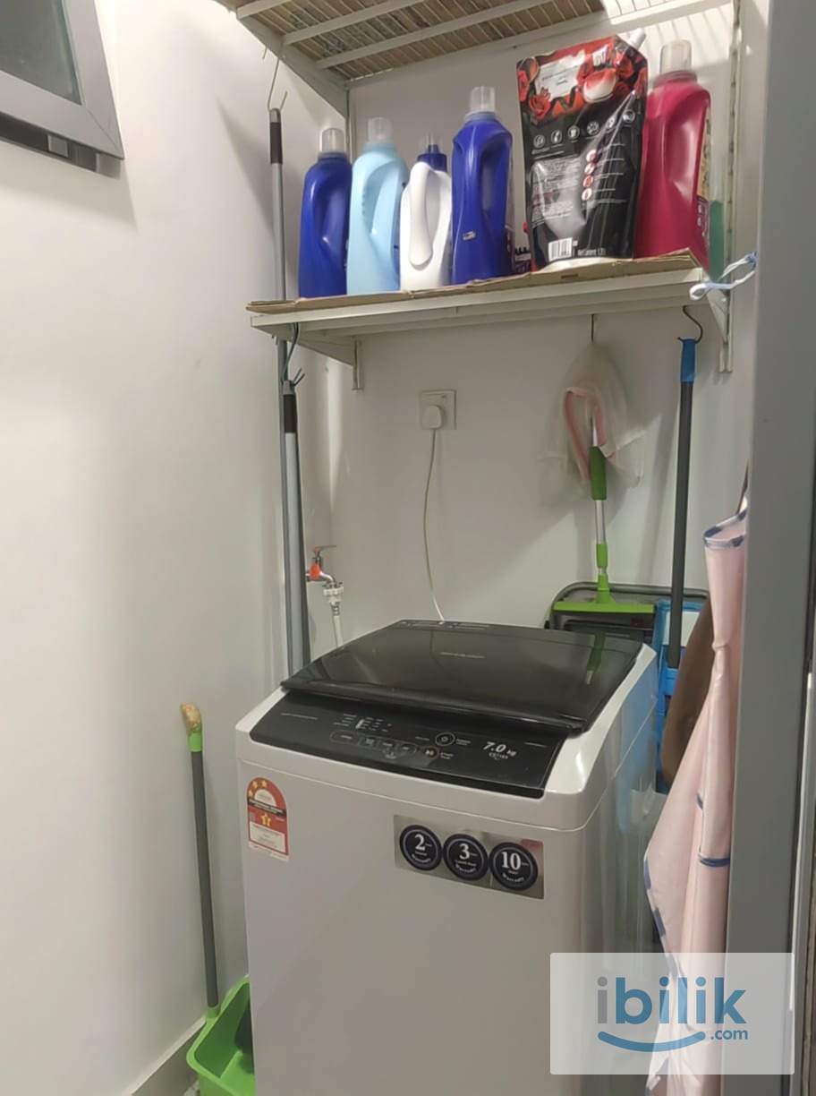 Single/Middle Roon - Image 2