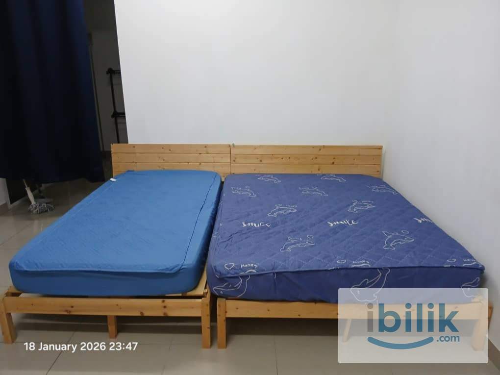 Studio at Saville @ D'Lake, Puchong (Prefer Female)   - Image 4