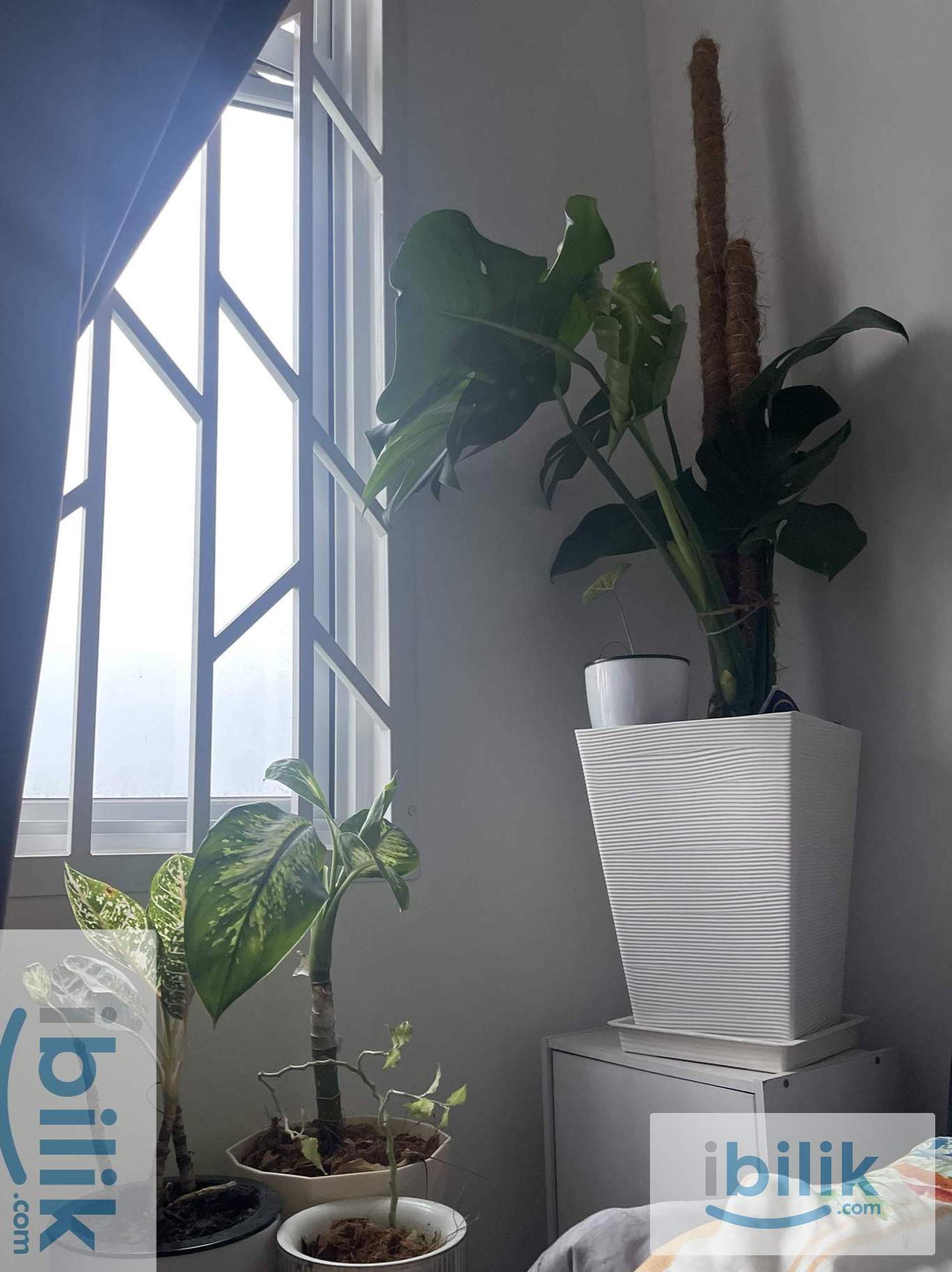 Middle Single Room  - Image 5