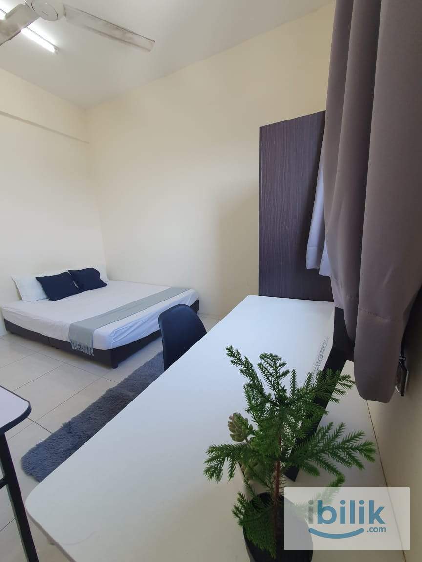 🌴🌟 Big Middle Room for Rent @ Georgetown 🌟🌴 - Image 1