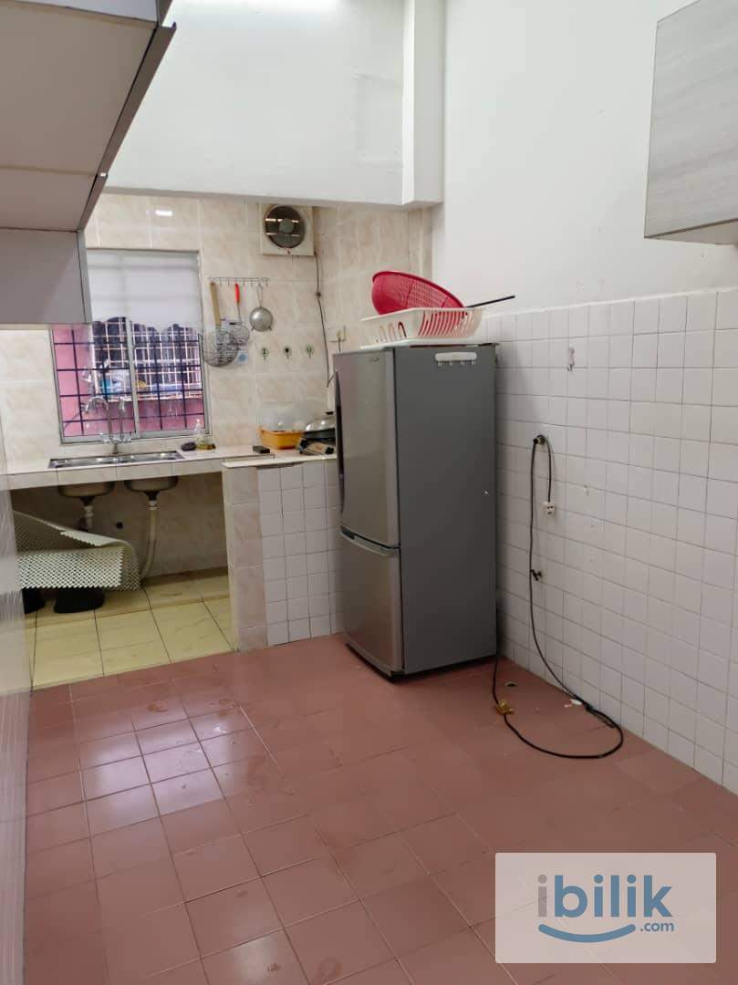 Single Storey - Image 3