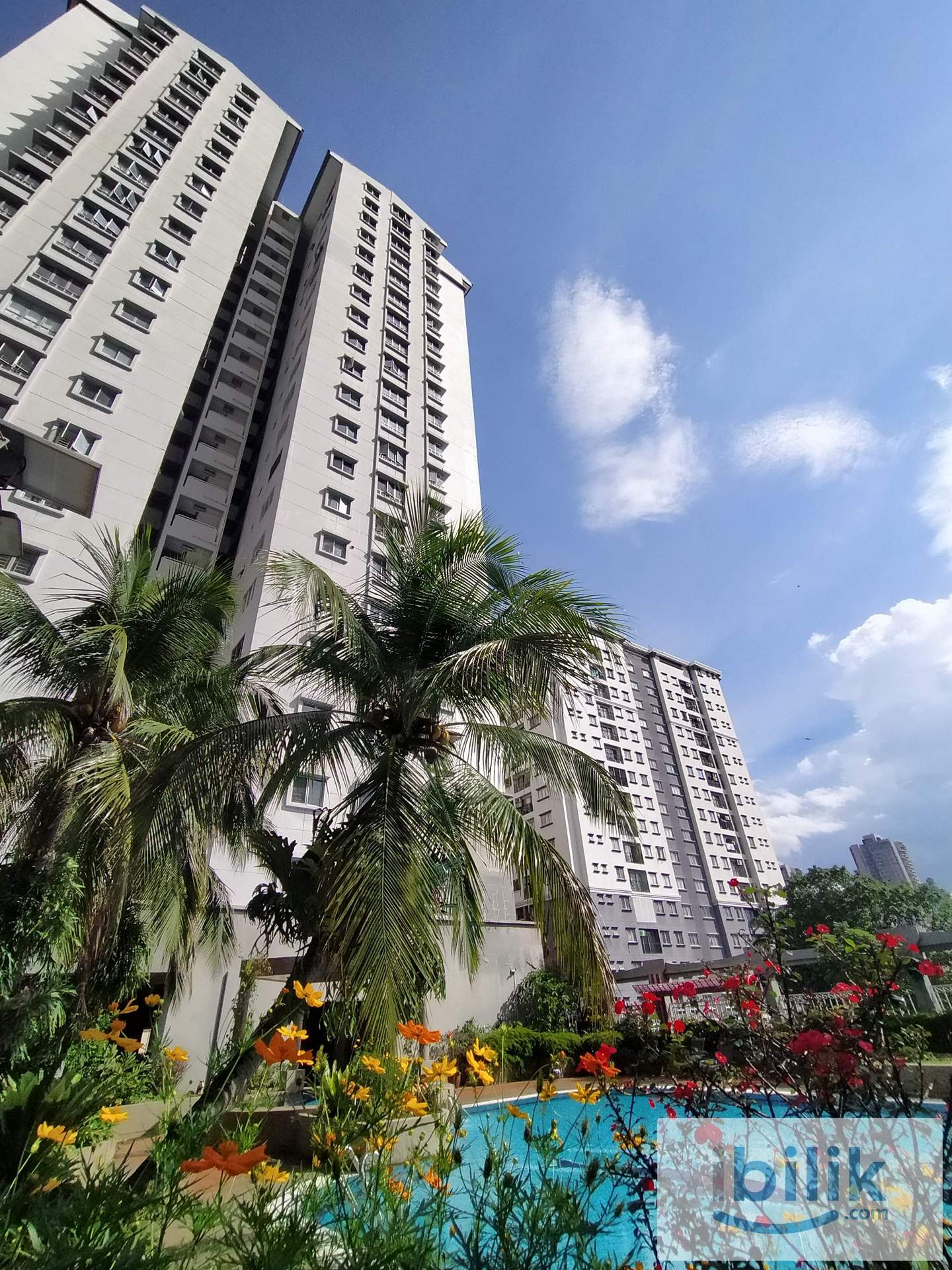 Fully Furnished Apartment Medium Room For Rent At Casa Damansara, SS2 - Image 5
