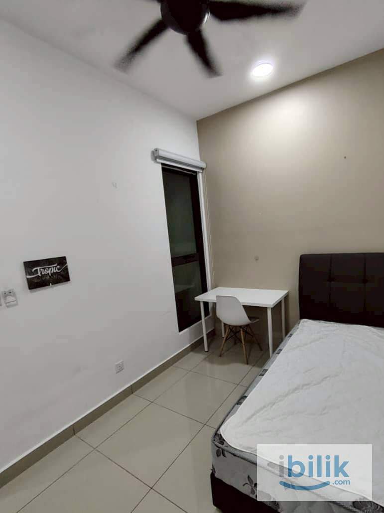 Single  - Image 5