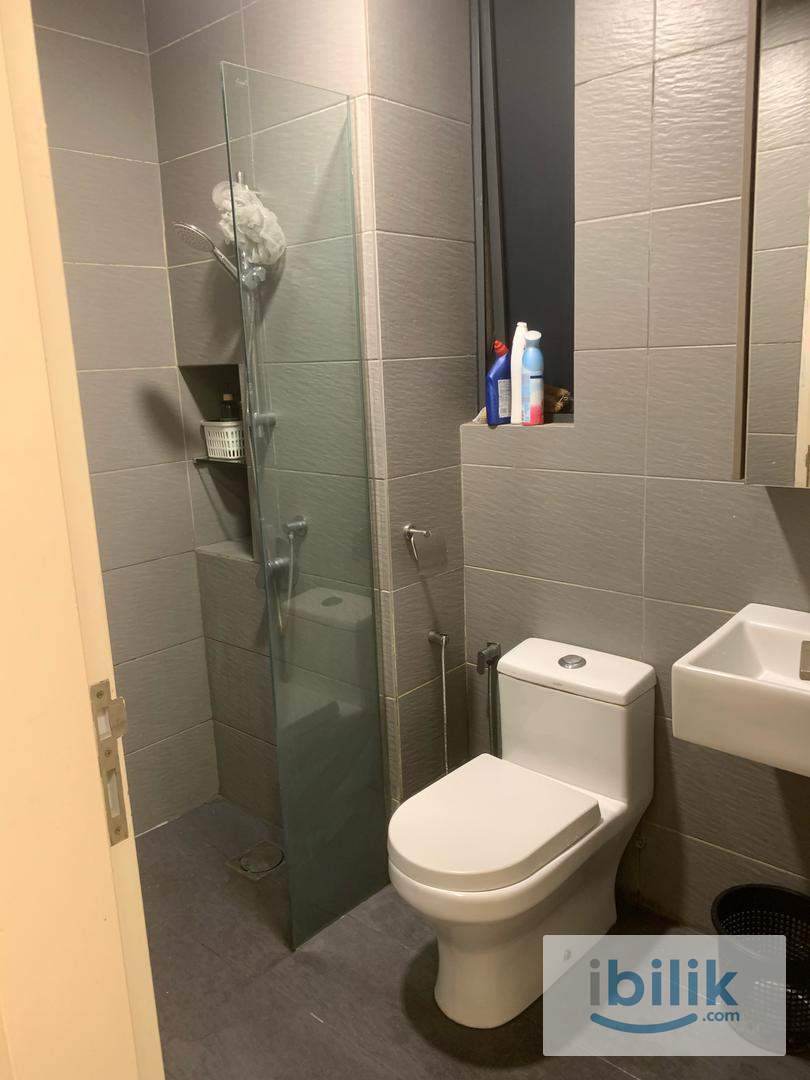 Single - Image 5