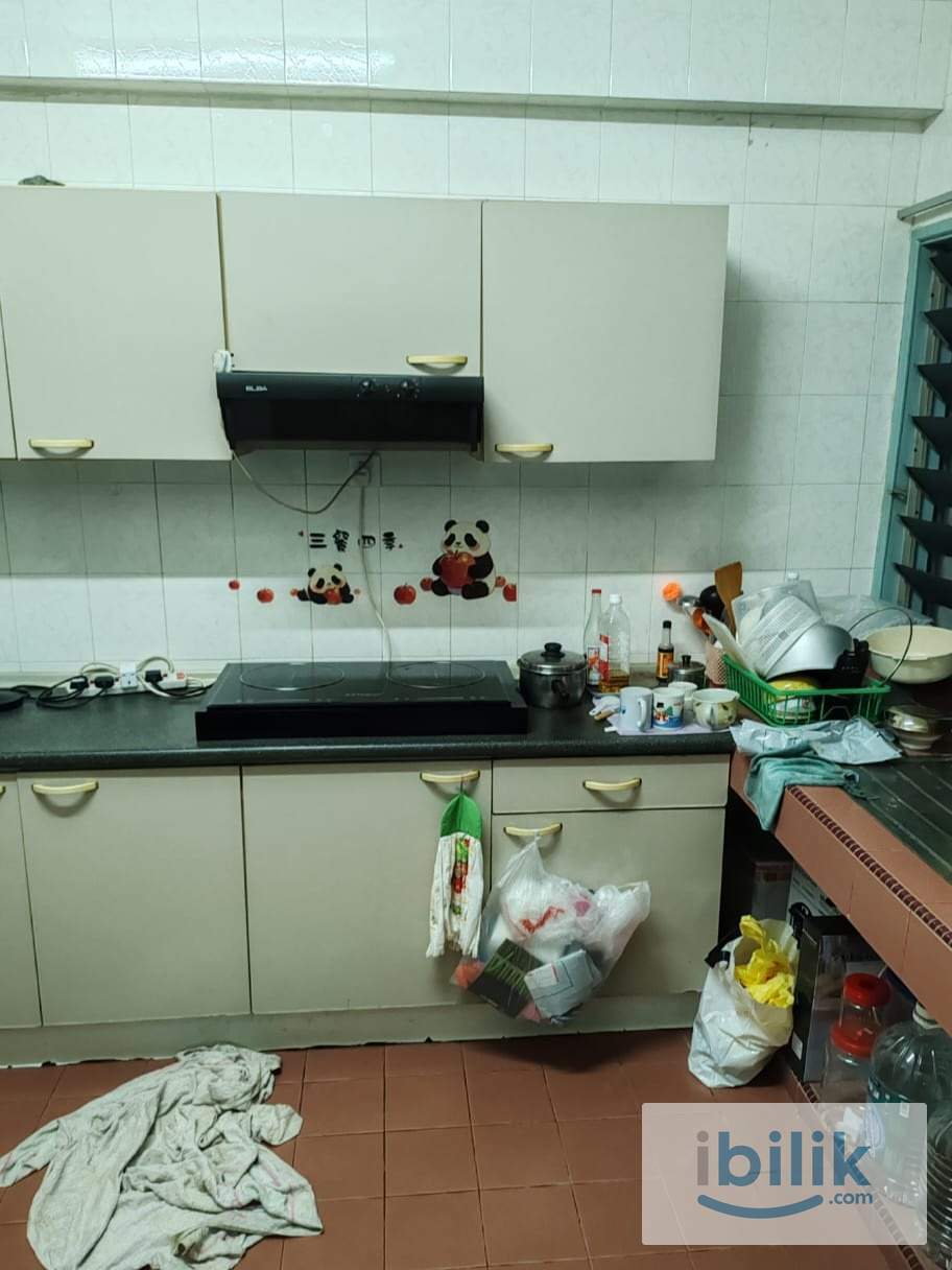 C806 (Small/Medium Room) - Image 2