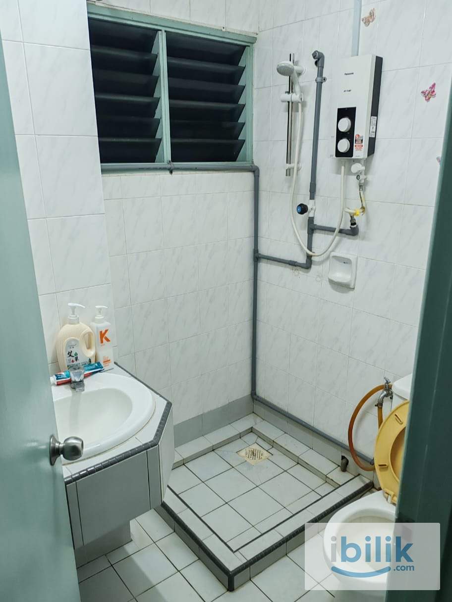 C806 (Small/Medium Room) - Image 3