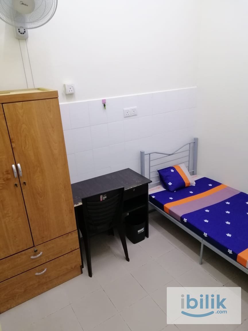 FEMALE Room For Rent At Georgetown - Image 6
