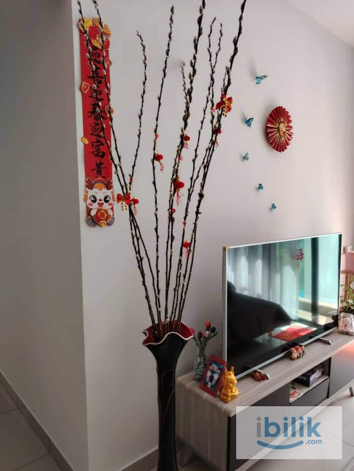 room - Image 4
