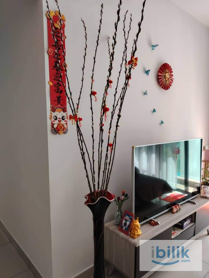 room - Image 3