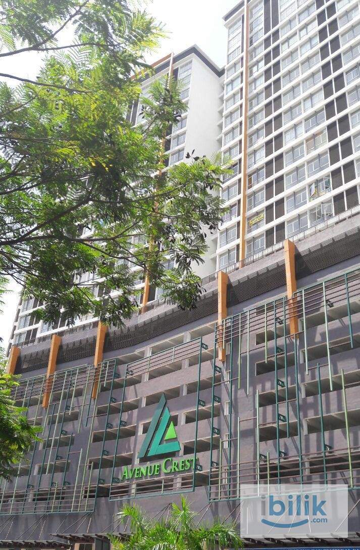 Single small Room Avenue Crest, Shah Alam,Batu 3 , Sek 22. Near Glenmarie .24 HOUR SECURITY !!Near Msu,Aeon,Lotus,Giant - Image 2