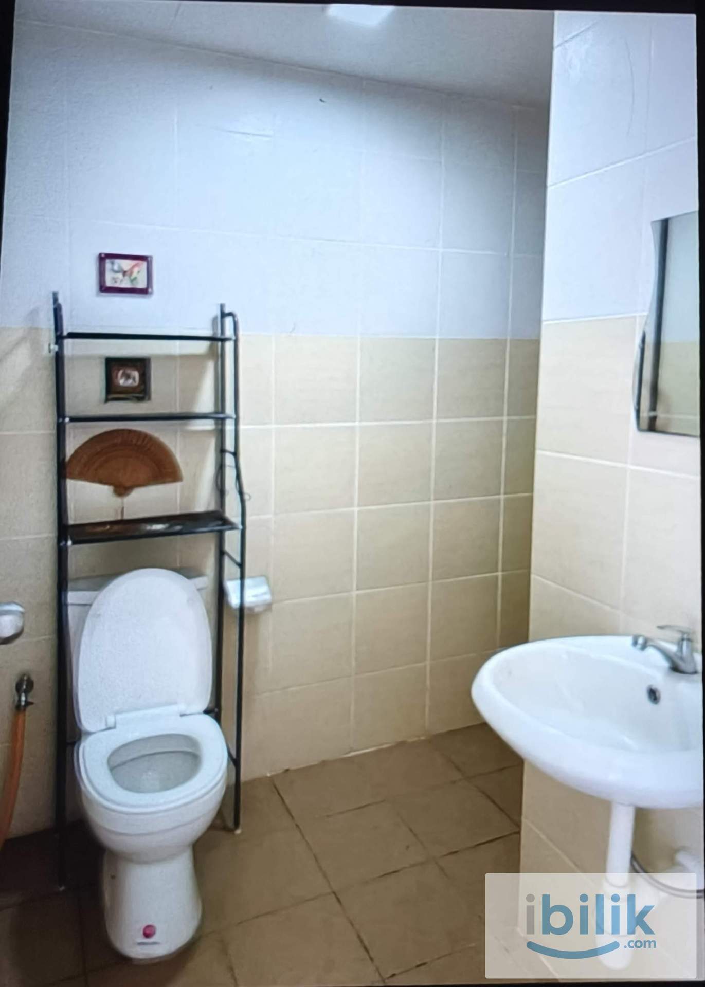 Middle toom - Image 3