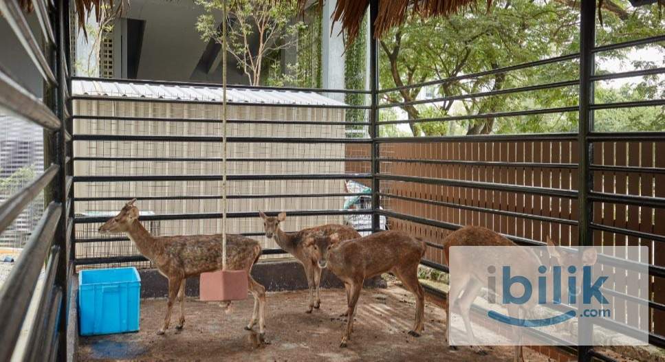 Fully Furnished Medium Single Room at KL Nidoz Residence Desa Petaling - Image 4