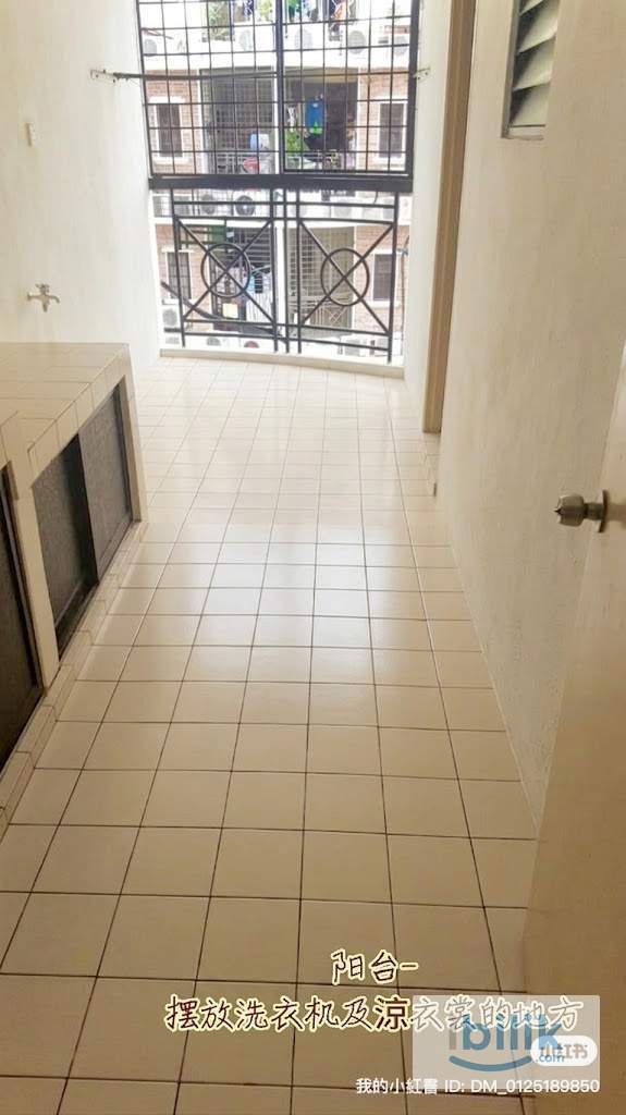 Whole Unit for Rent  - Image 6