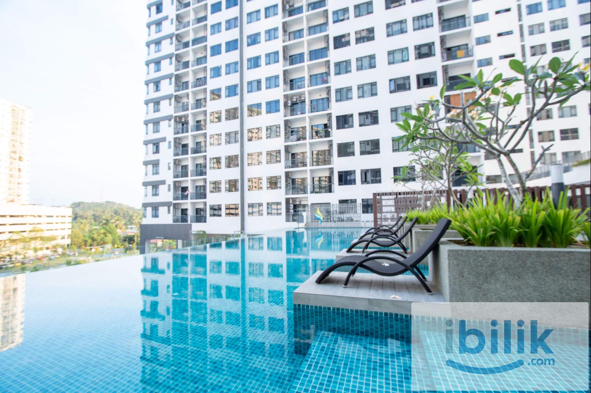 Chinese unit Medium Bedroom for Rent @ Seksyen 22 Shah Alam - Image 7