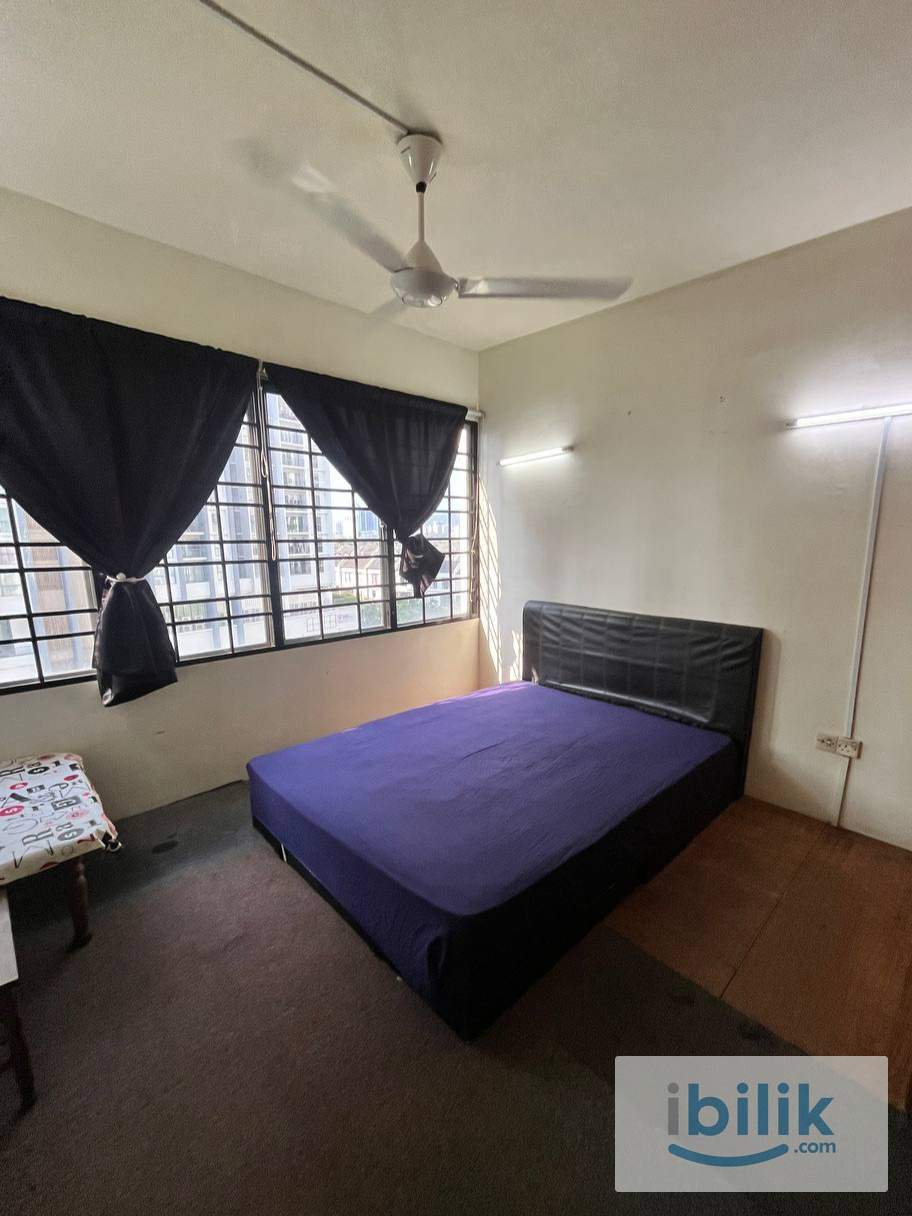 room rent penang  - Image 2