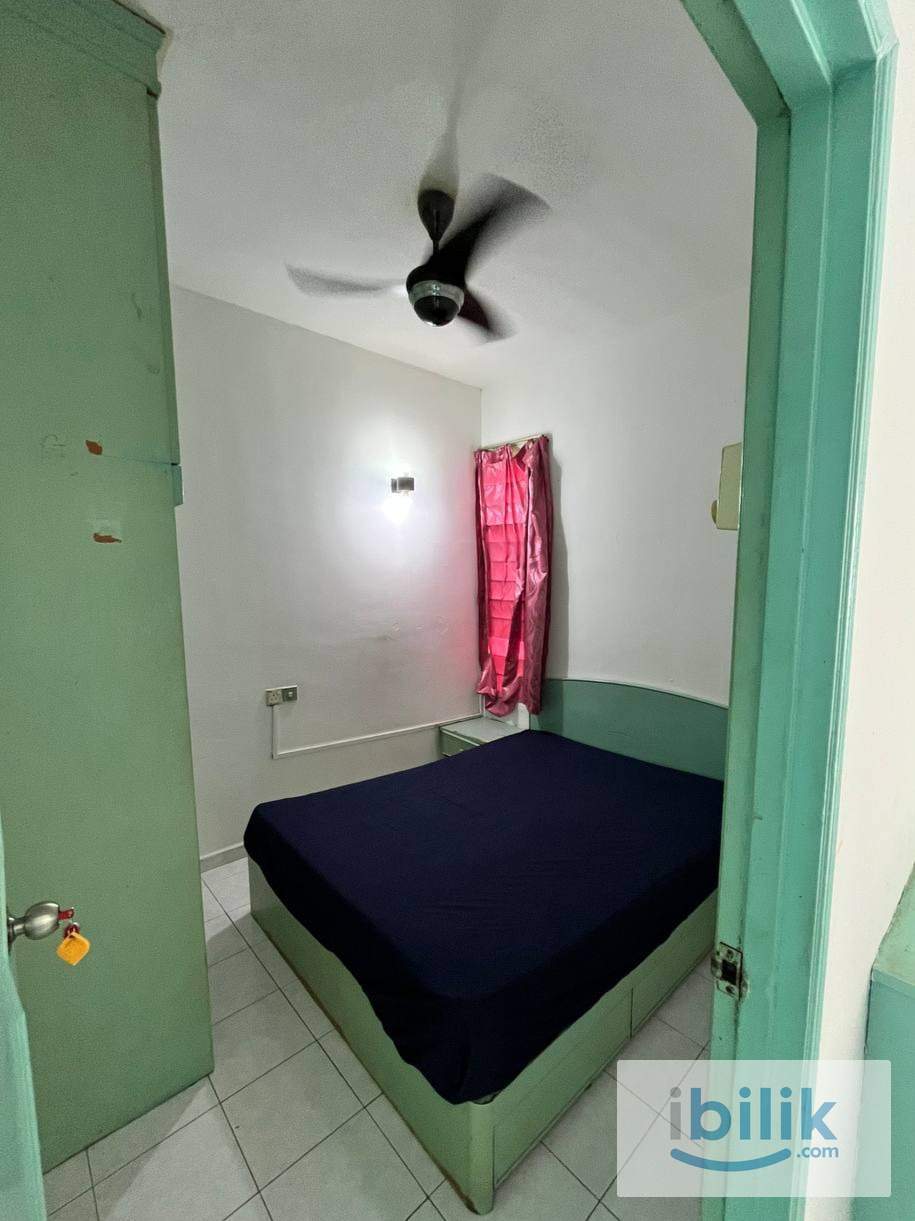 ROOM RENT PENANG  - Image 1