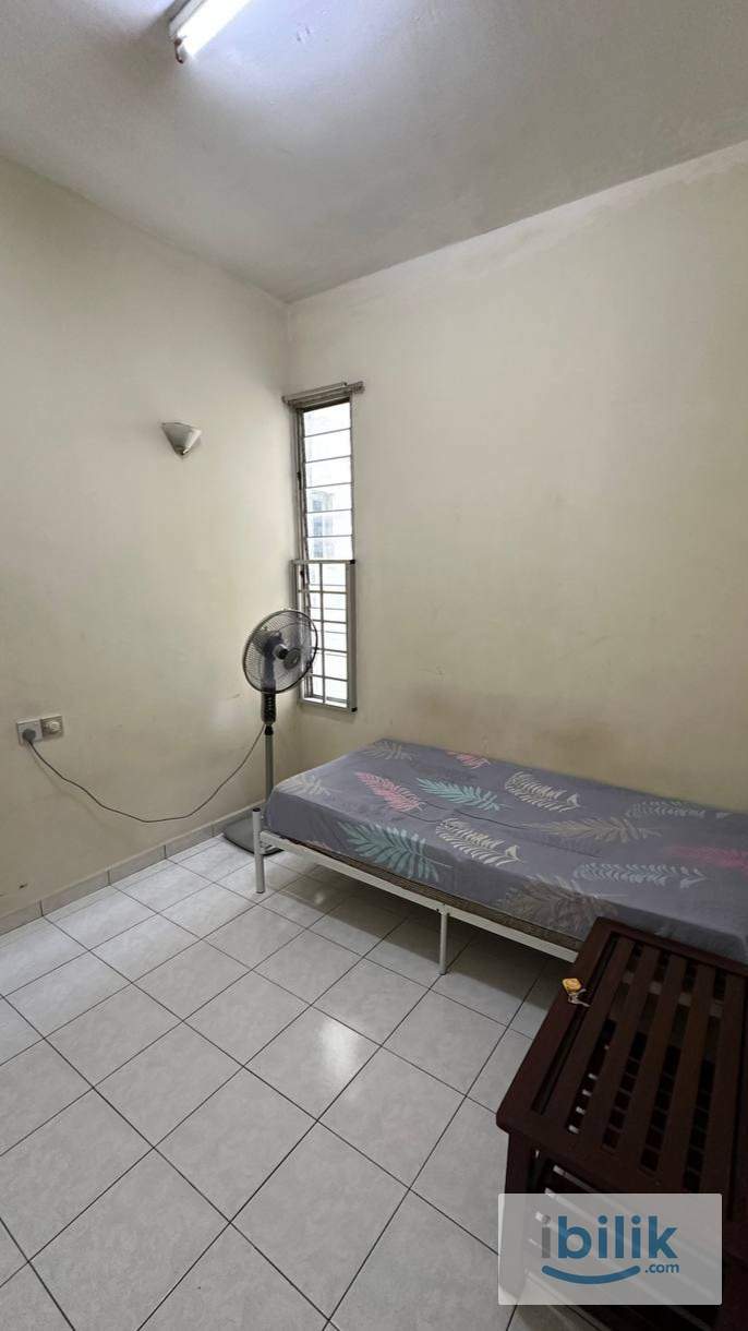 ROOM RENT PENANG N-PARK CONDOMINIUM - Image 1