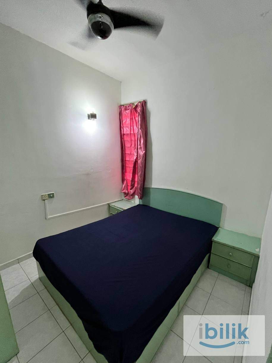 room rent penang  - Image 1