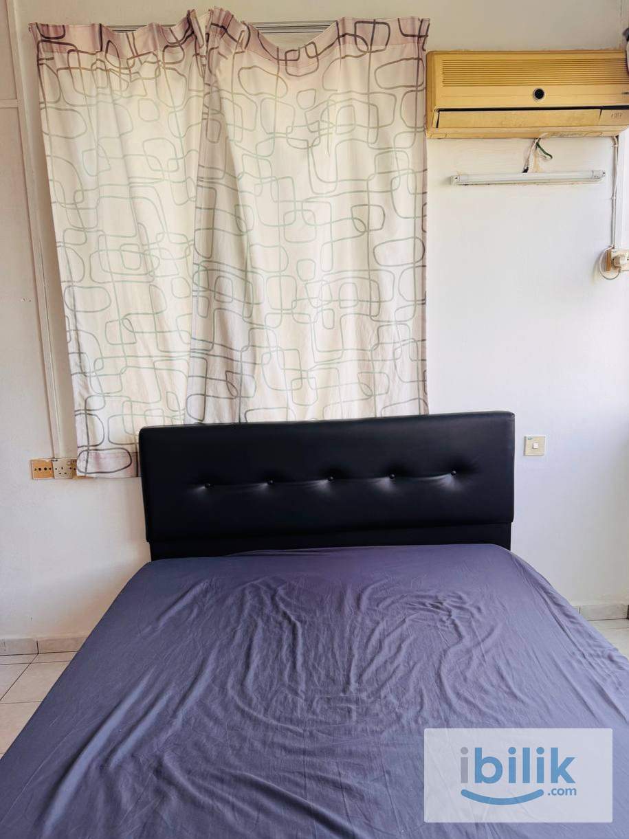 Room Rent Penang Batu uban Gelugor Bayan Lepas / Baru Penang - Image 3