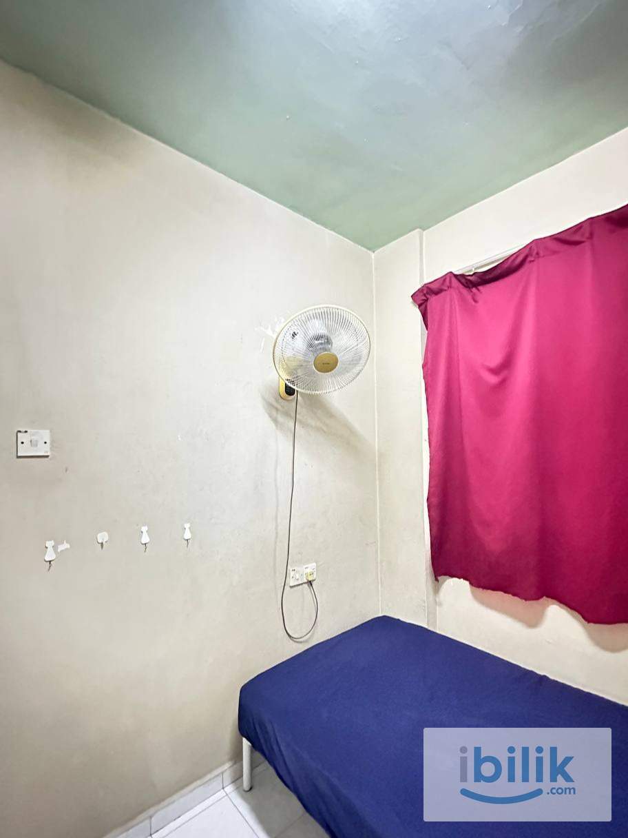 Room Rent Penang Bayan Lepas /Bayan Baru /Gelugor /Batu Uban/ Penang - Image 2