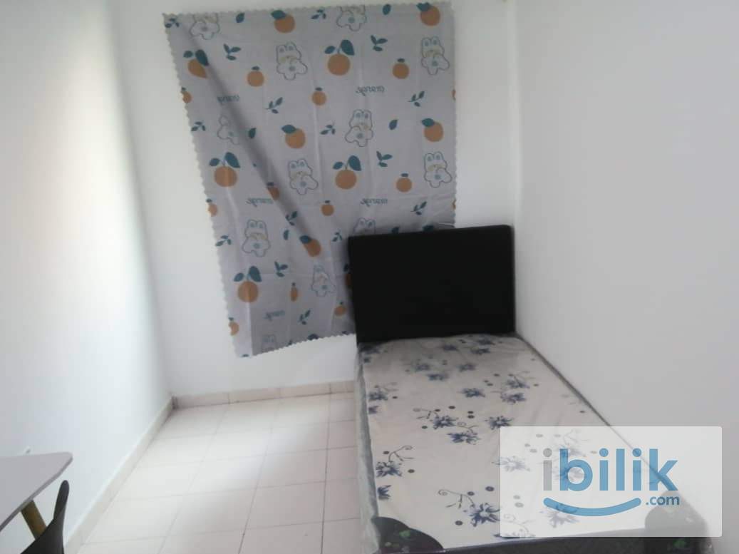 Singroom - Image 2