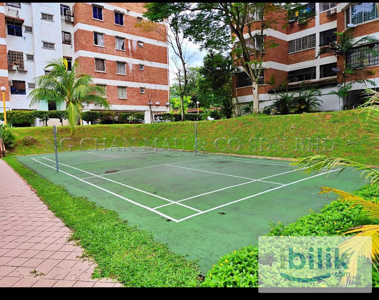 Single room for rent daily and weekly and monthly now available  - Image 9