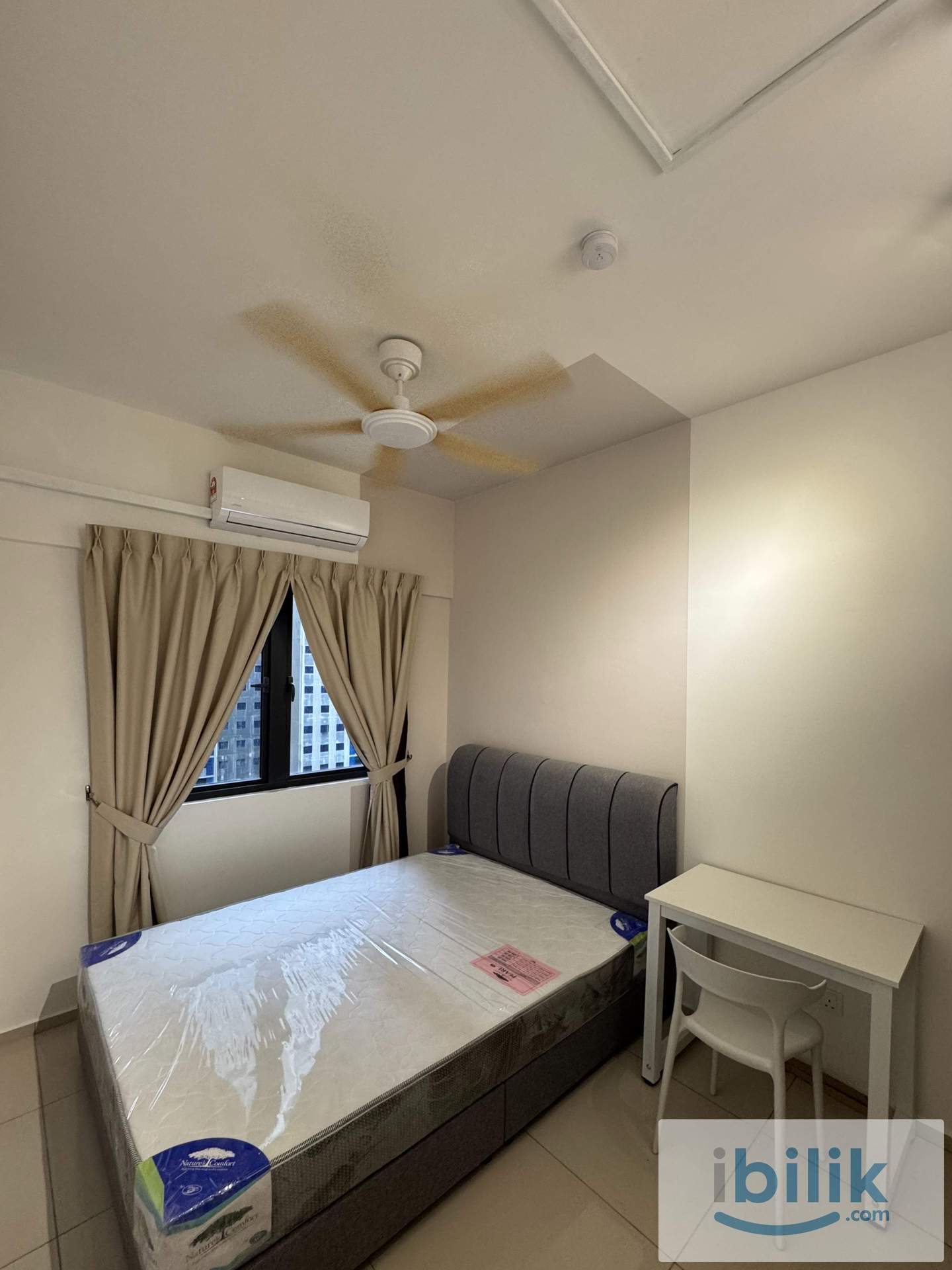 One Equine Studio For Rent - Image 3