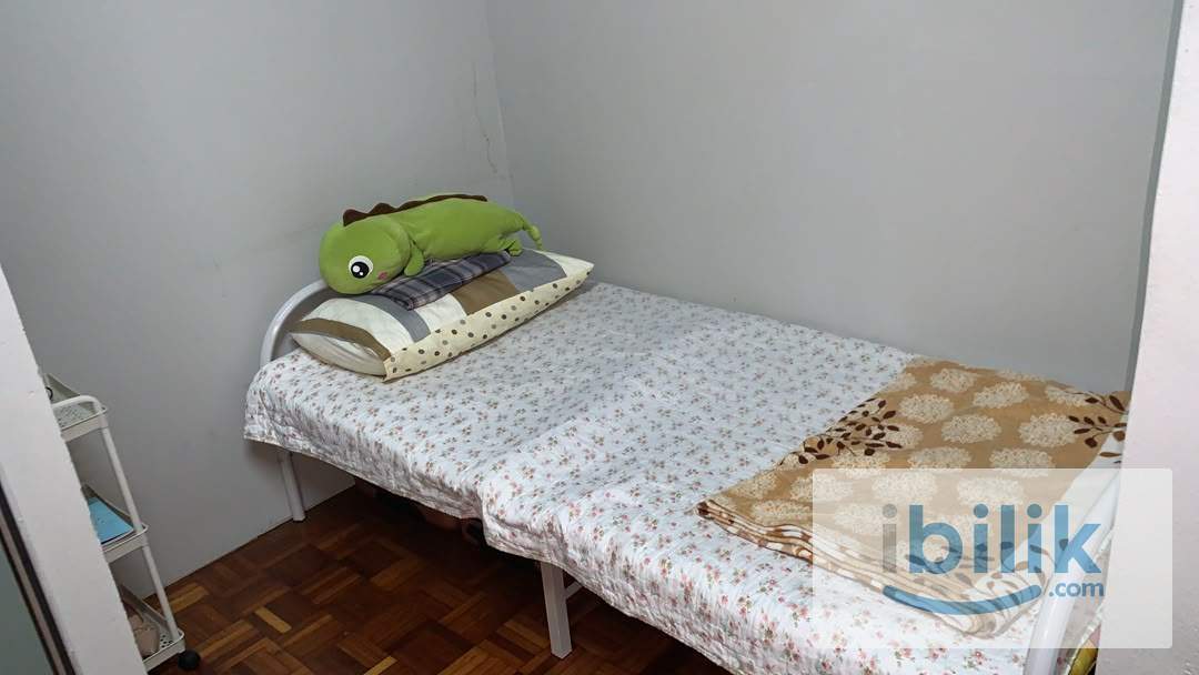 SINGLE ROOM WITH ATTACHED BATHROOM TO LET (FEMALES ONLY) (AVAILABLE 27TH JULY 2026 ONWARDS) - Image 1