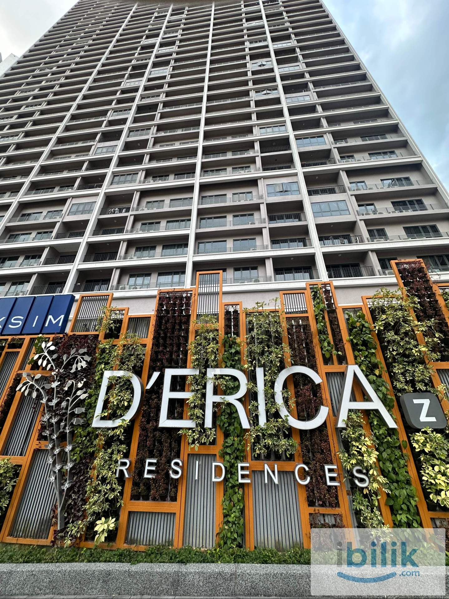 D’Erica — Middle  - Image 3