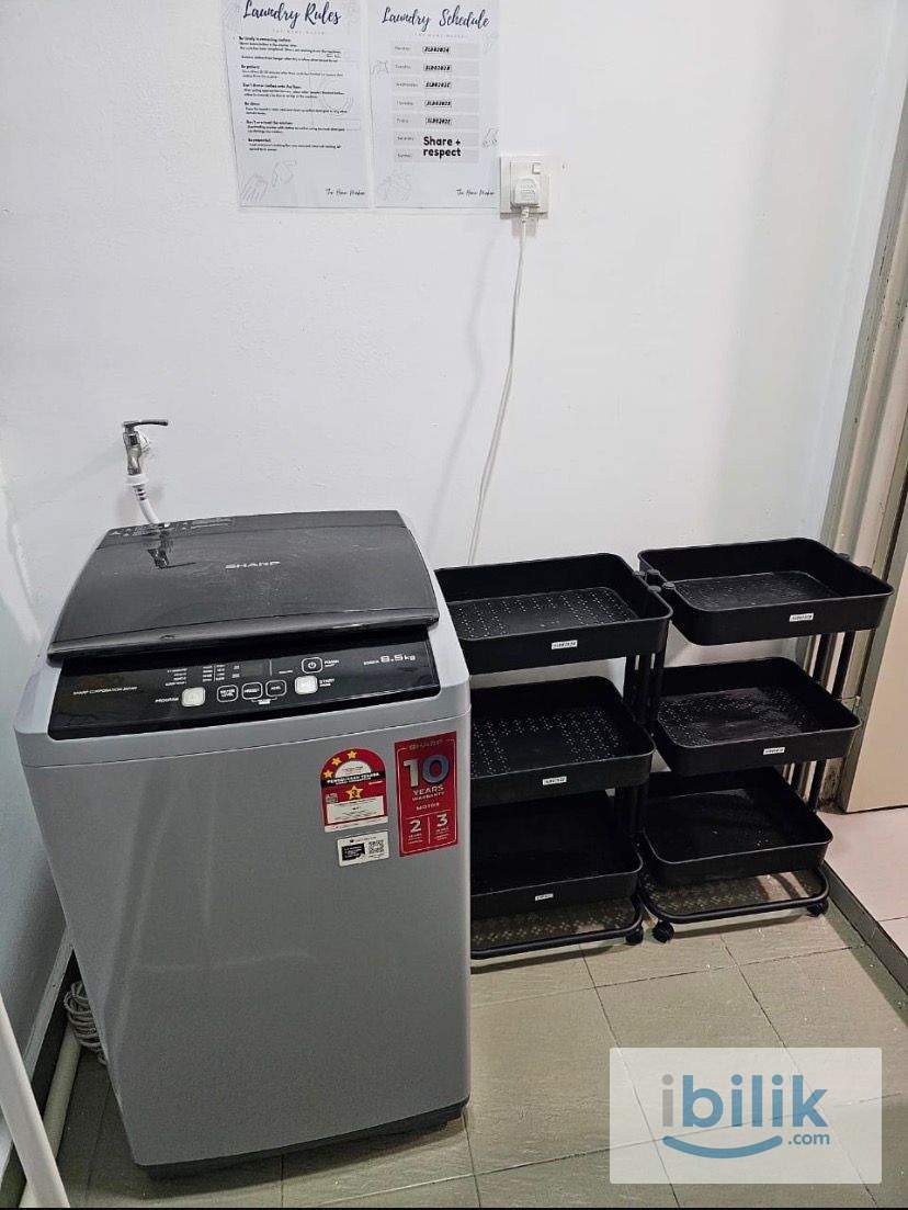 Master room for rent - Image 10