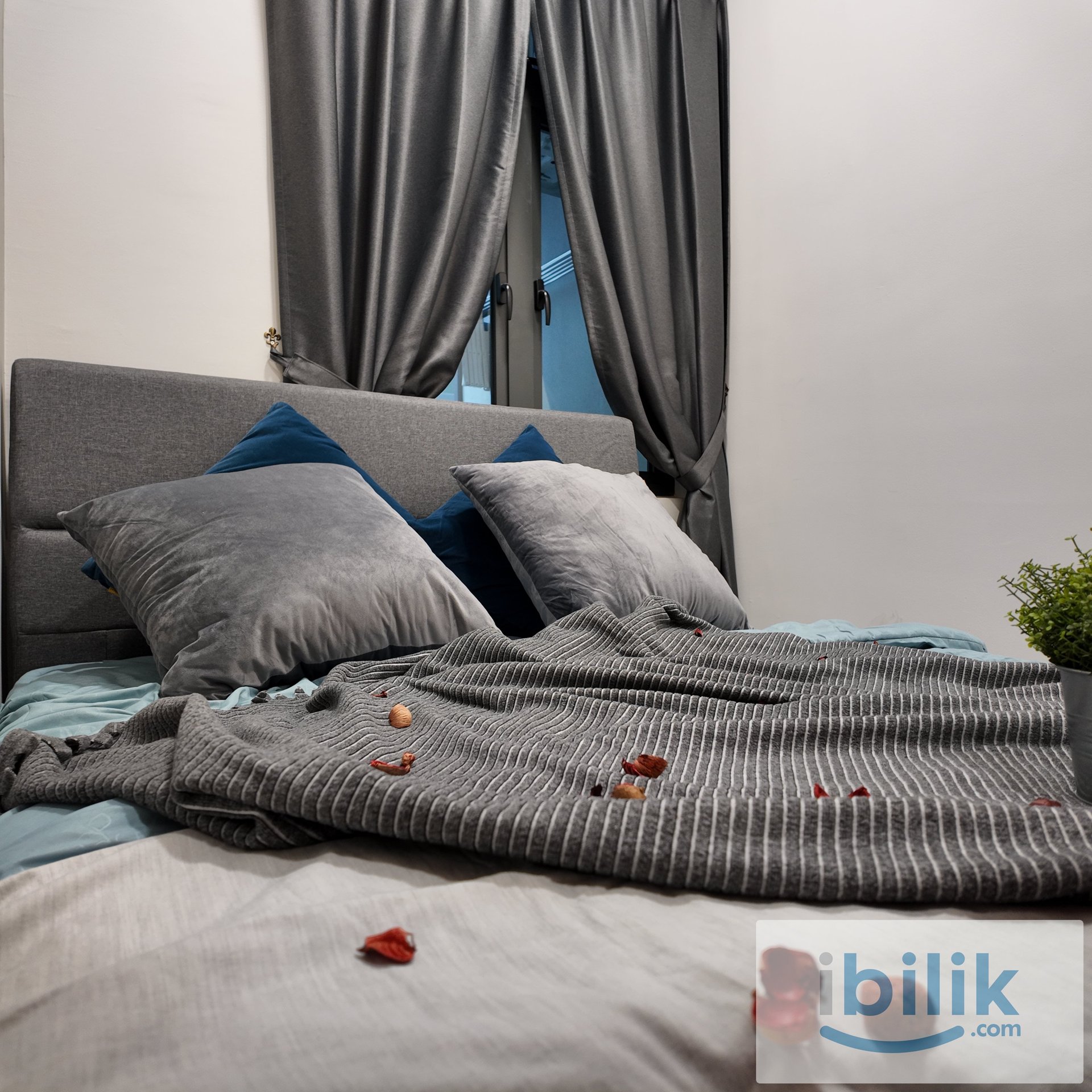 Single Room @ D7 Residence - Image 1