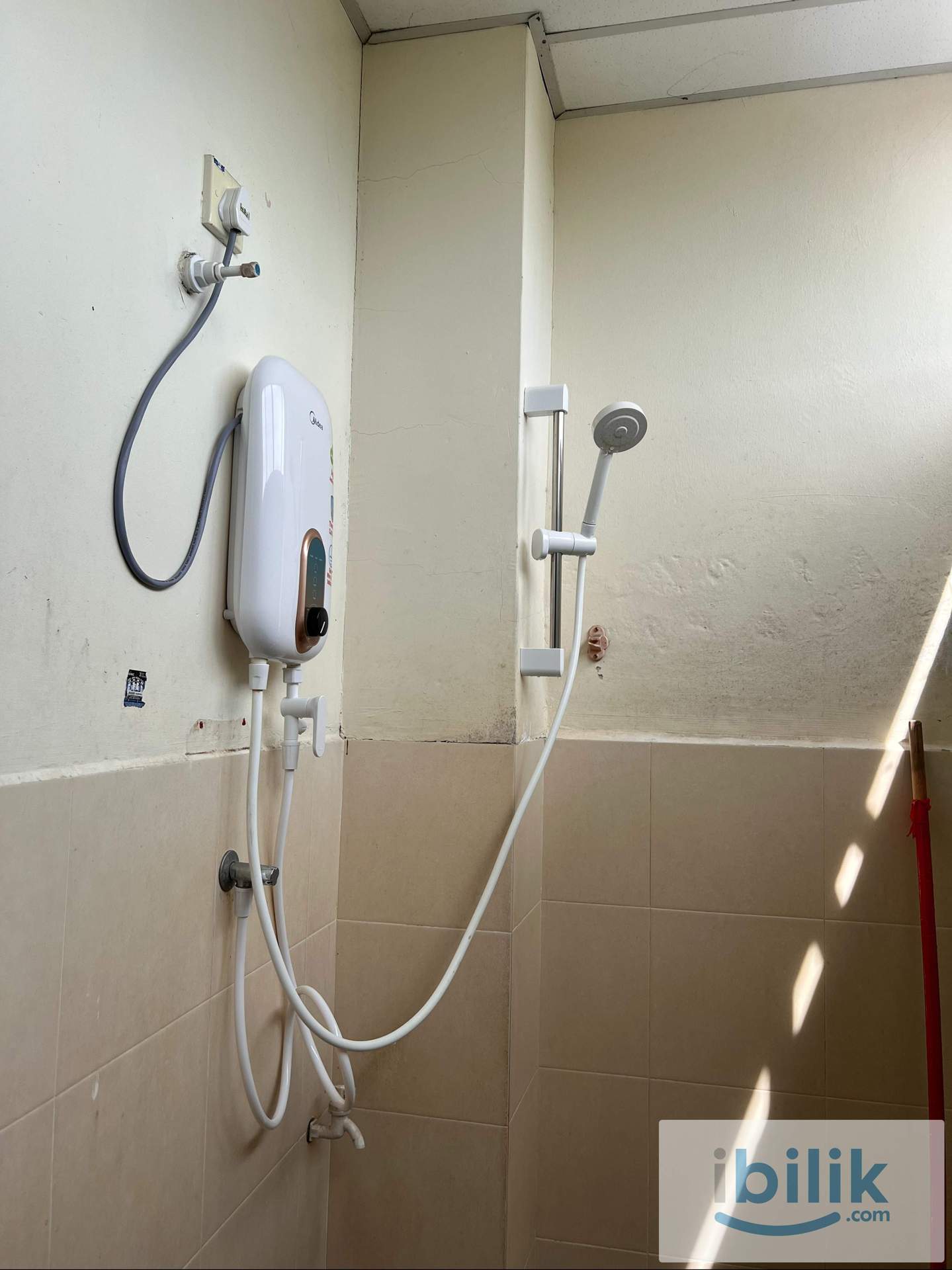 Small Room - Pontian Male - Image 3