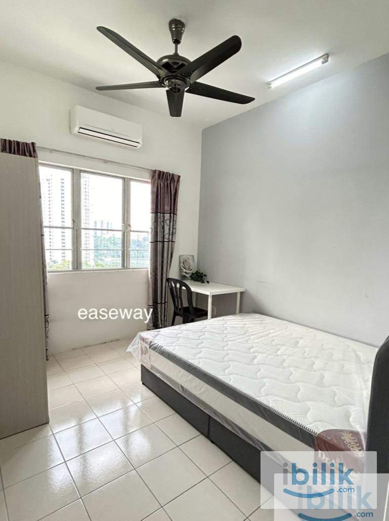 Medium room  - Image 4