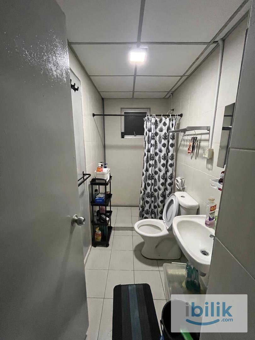 Mid size apartment room with a shared apartment utilities on top of a mall - Image 2