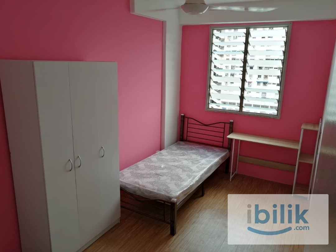 FEMALE Room For Rent At Georgetown Area - Image 5