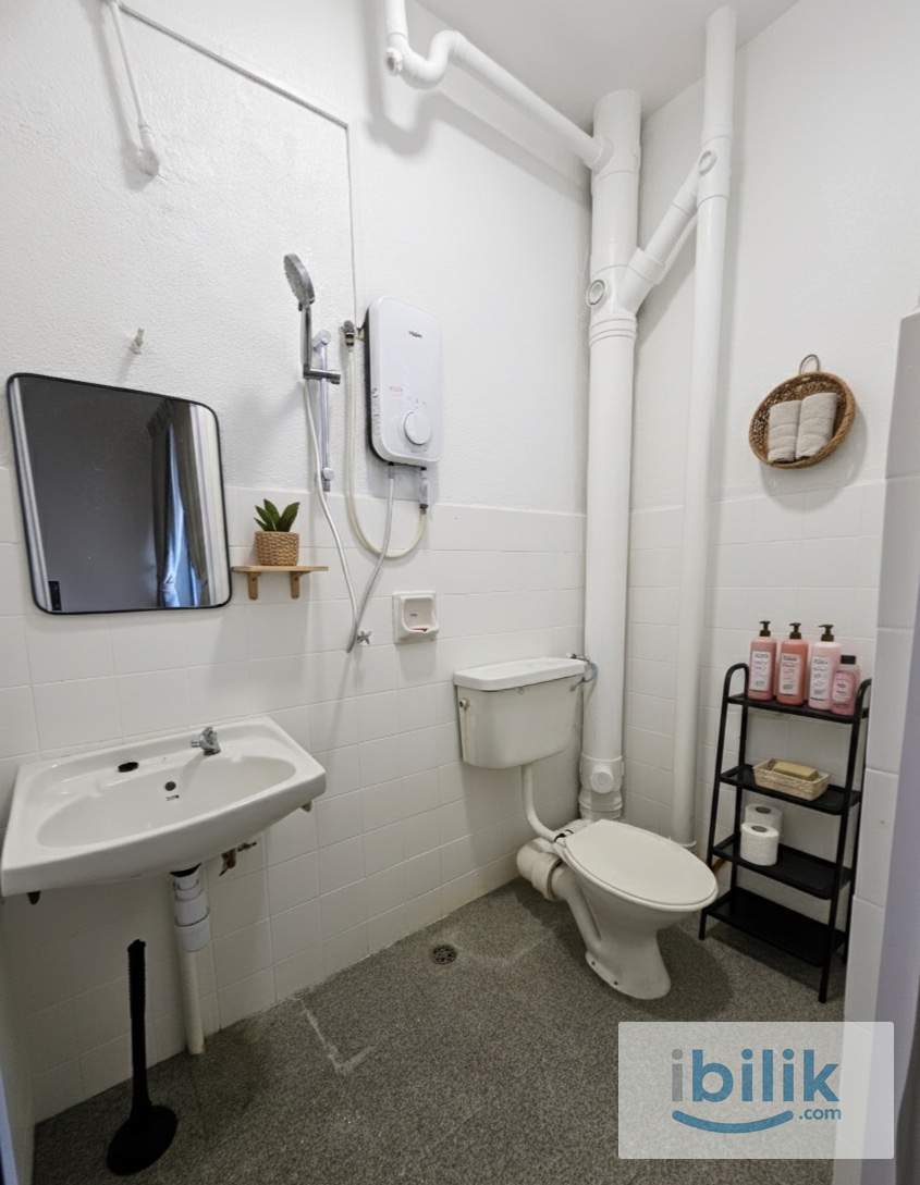 USM/ INTI college (Jambul View) Queen Room for Rent  - Image 3